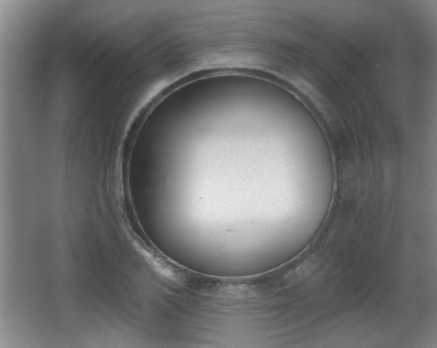 X0000068260982200604241227