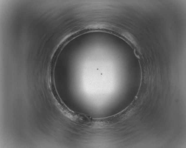 X0000068260984200604241227