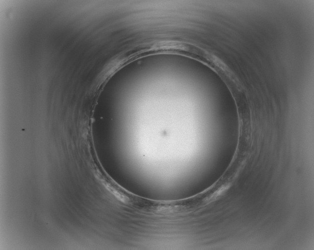 X0000068260985200604241227