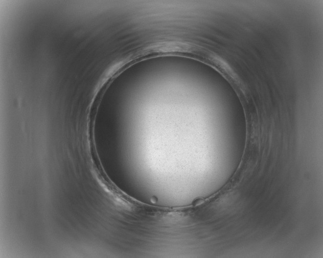 X0000068260986200604241227