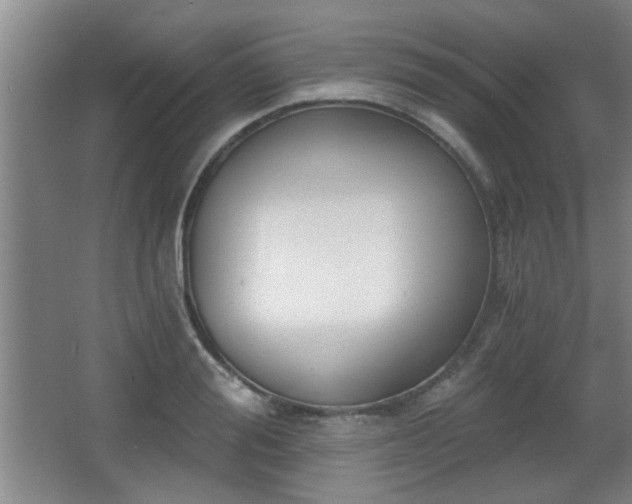 X0000068260988200604241227