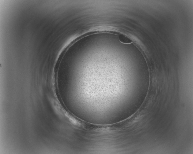 X0000068260990200604241227