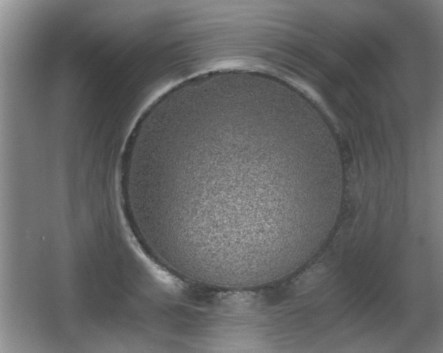 X0000068260991200604241227