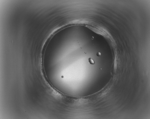 X0000068260992200604241227