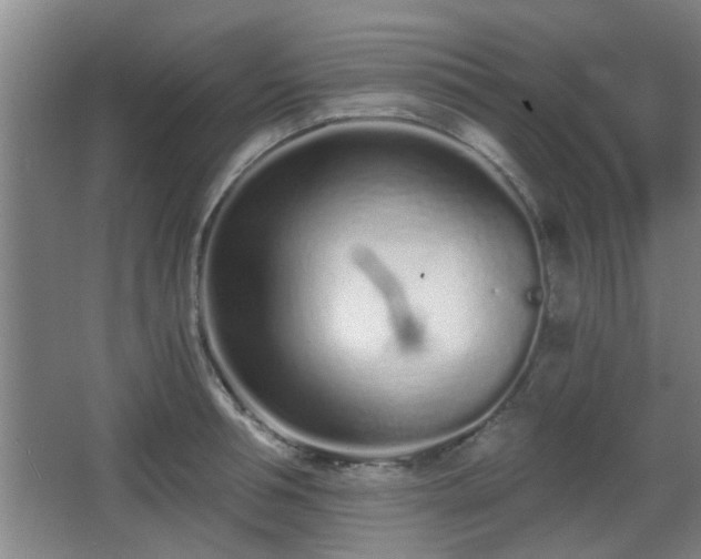 X0000068260994200604241227