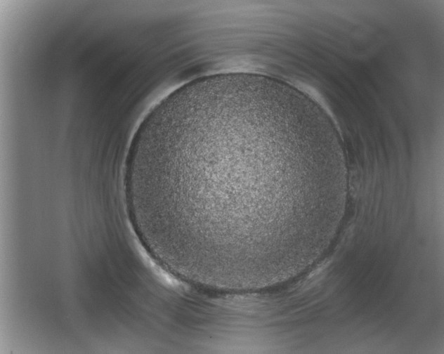 X0000068260995200604241227