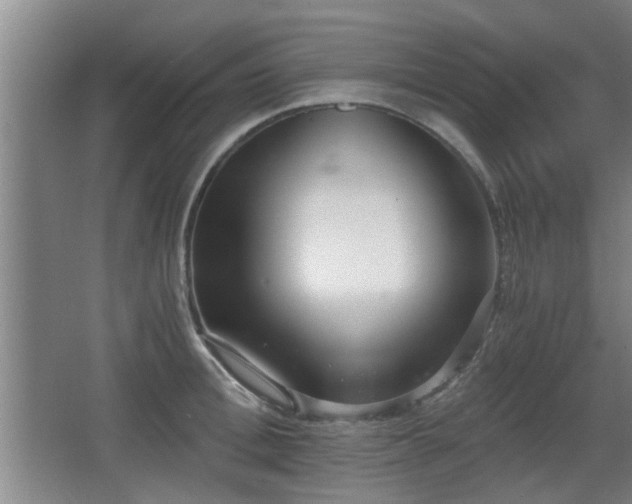 X0000068260996200604241227