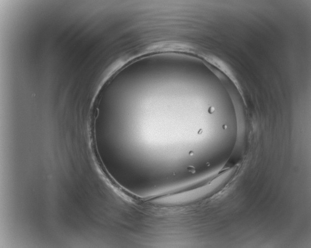 X0000068260997200604241227