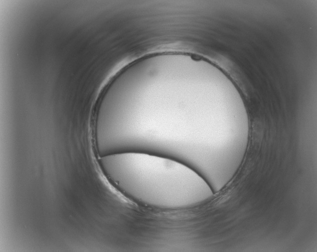 X0000068260998200604241227