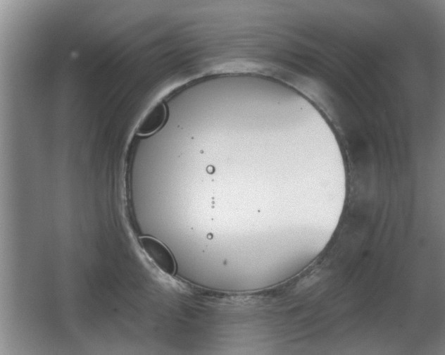 X0000068261000200604241227