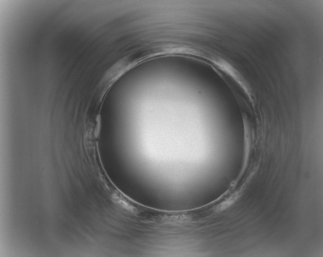 X0000068261001200604241227