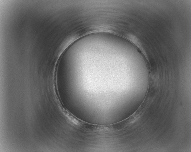 X0000068261002200604241227