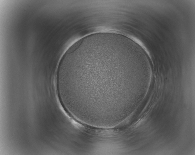 X0000068261007200604241227