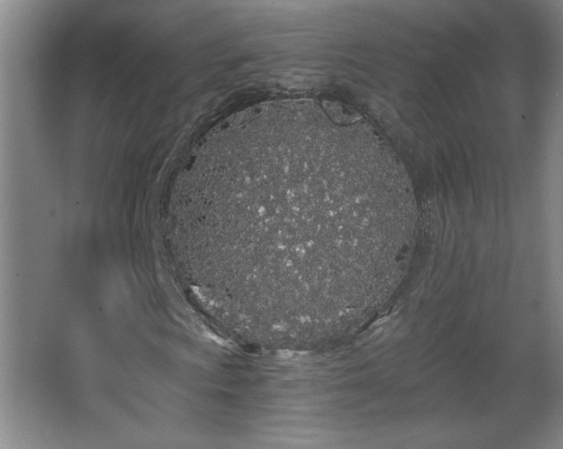 X0000068261009200604241226