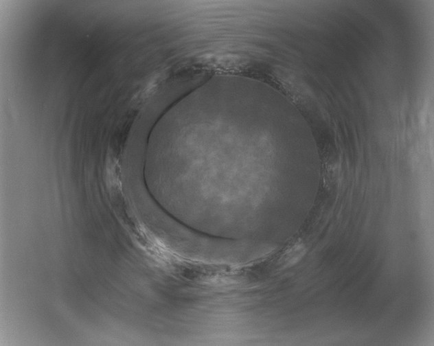 X0000068261010200604241226