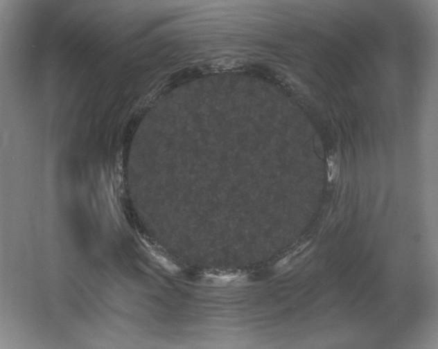 X0000068261011200604241226