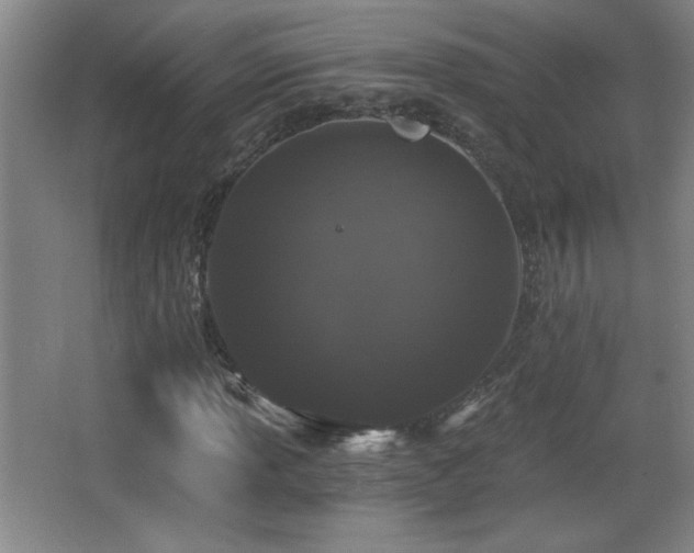 X0000068261013200604241226