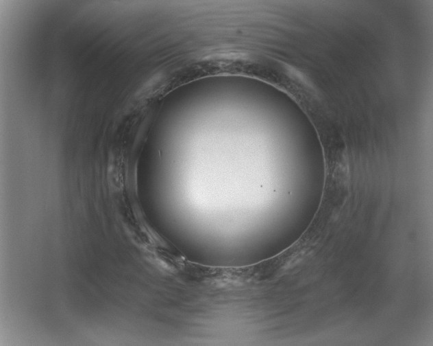 X0000068261014200604241226