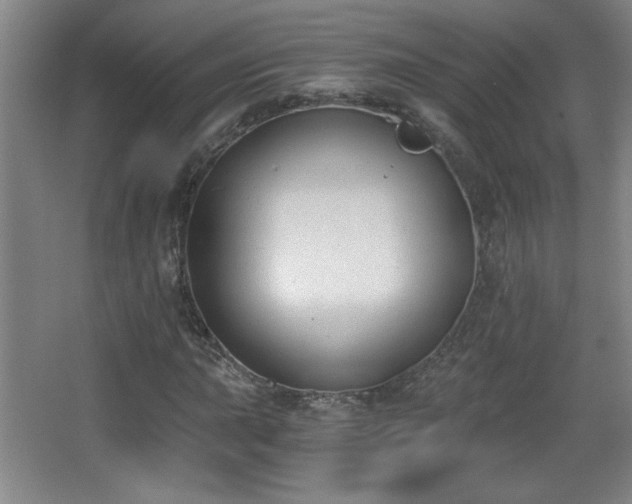 X0000068261015200604241226