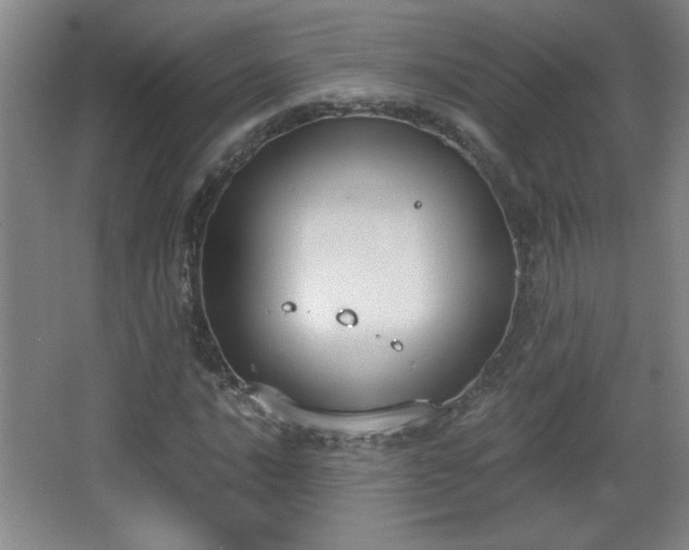 X0000068261016200604241226