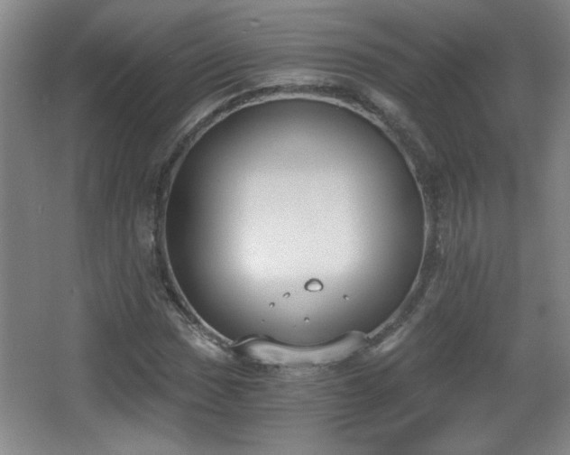 X0000068261017200604241226