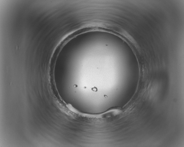 X0000068261020200604241226