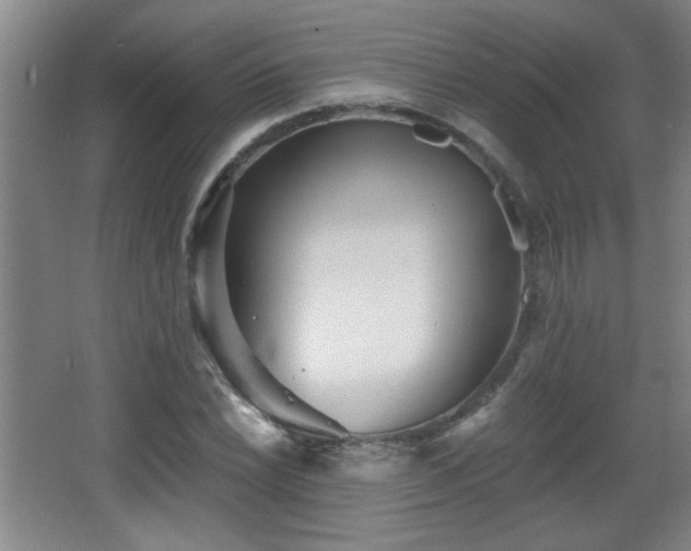 X0000068261022200604241226