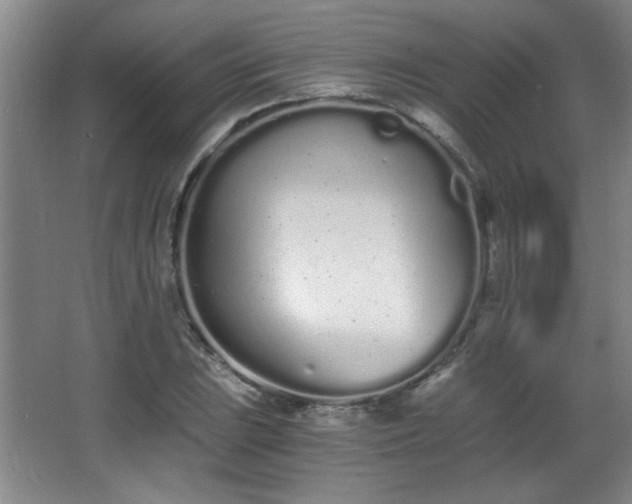 X0000068261023200604241226