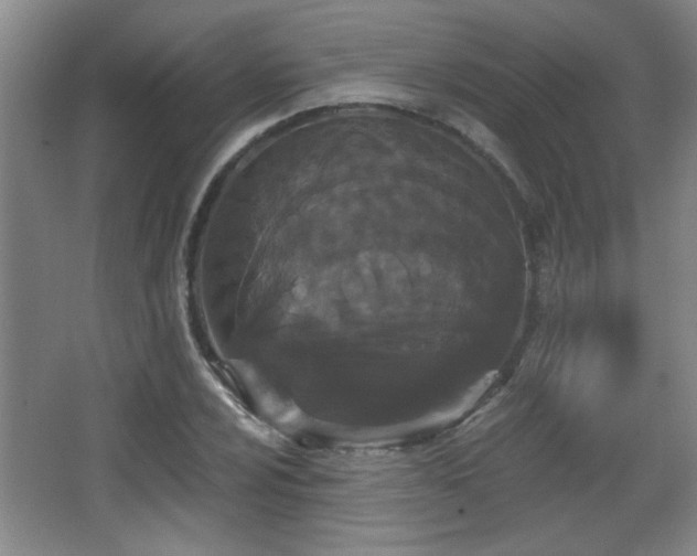 X0000068261024200604241226