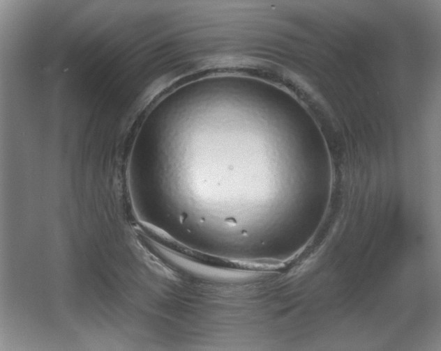 X0000068261025200604241226