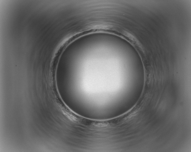 X0000068261027200604241226