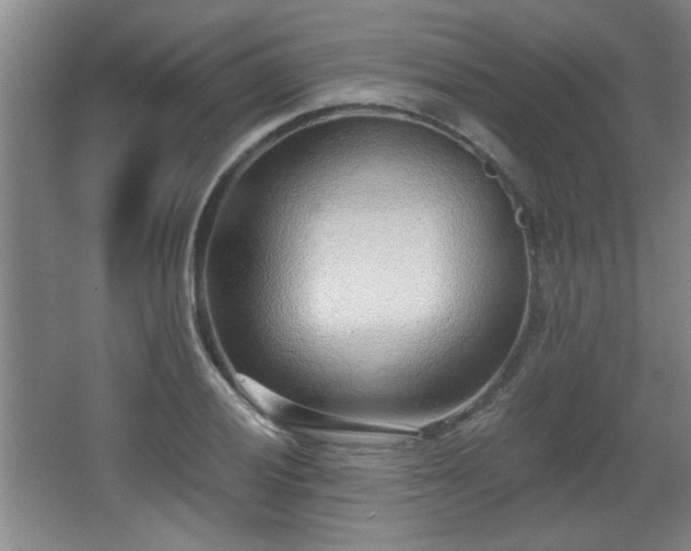 X0000068261028200604241226