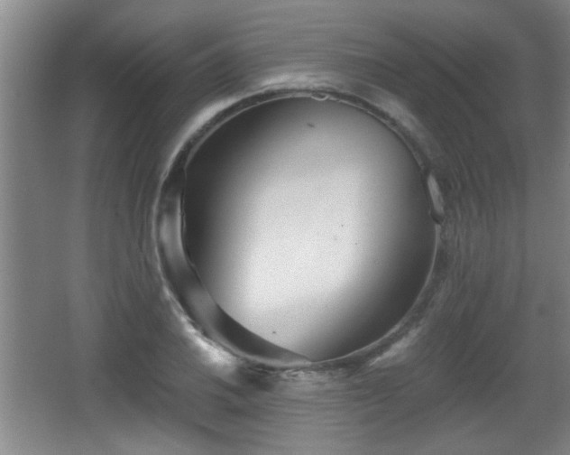 X0000068261030200604241226