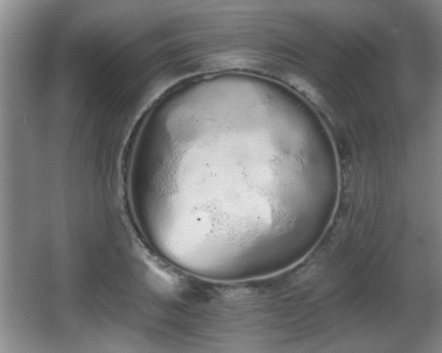 X0000068261031200604241226