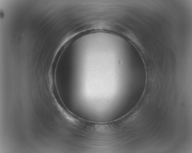 X0000068261032200604241226