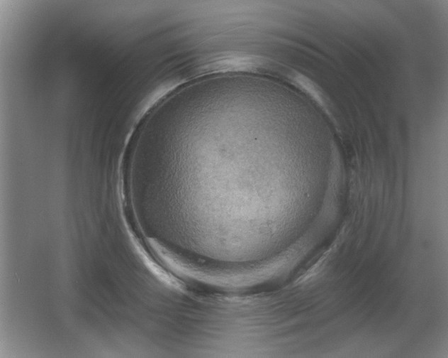 X0000068261034200604241226