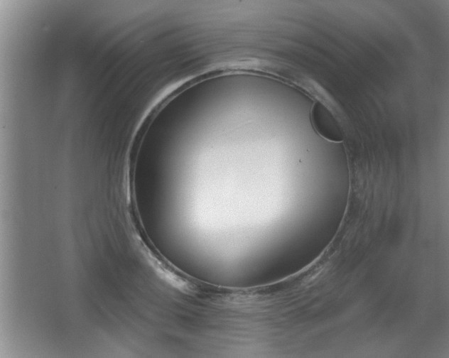 X0000068261036200604241226