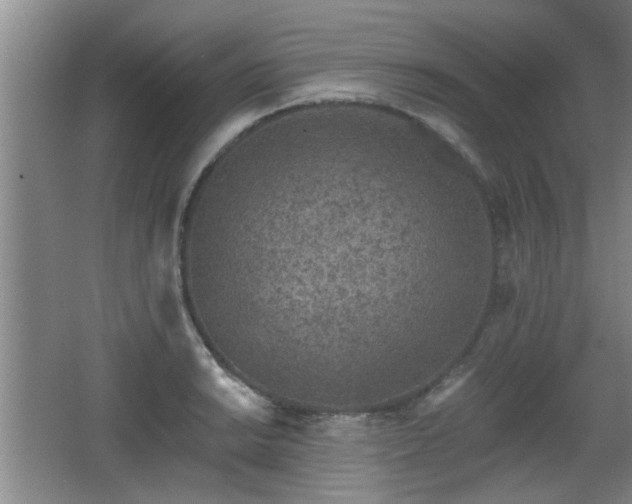 X0000068261038200604241226