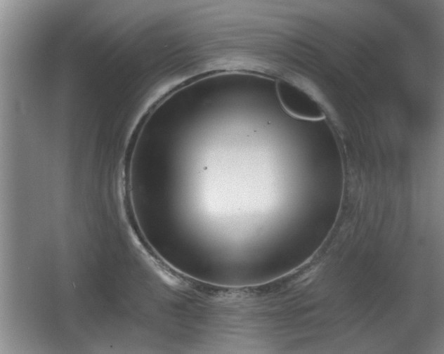 X0000068261040200604241226