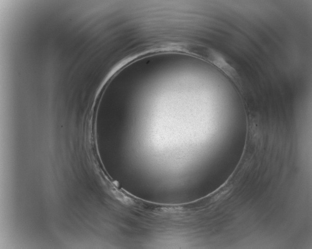 X0000068261052200604241227