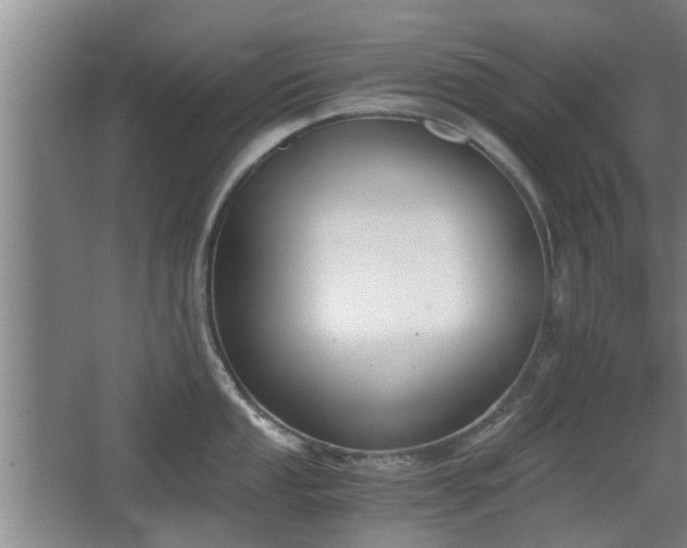 X0000068261053200604241227