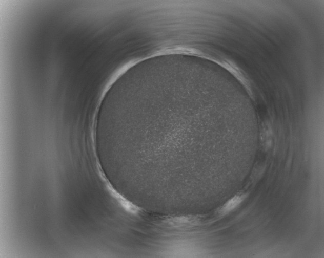 X0000068261054200604241227