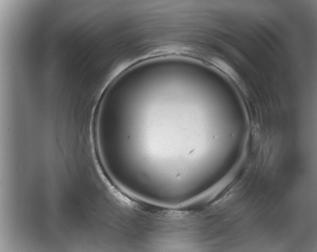 X0000068261055200604241227