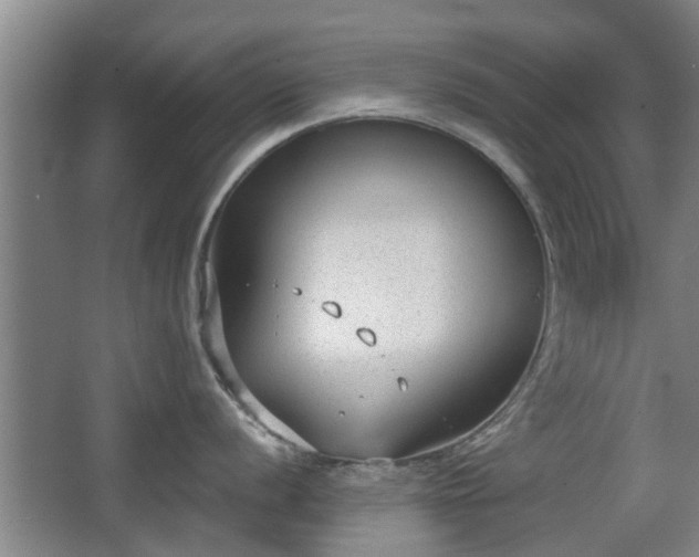 X0000068261056200604241227