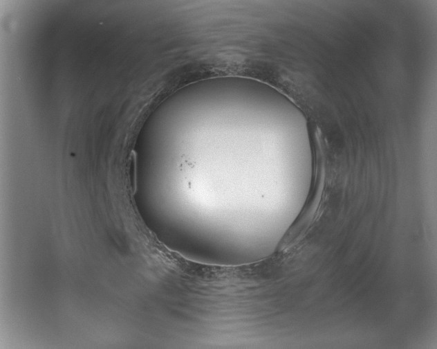 X0000068261057200604241226