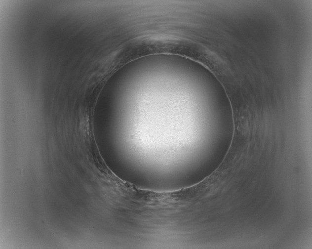 X0000068261061200604241226