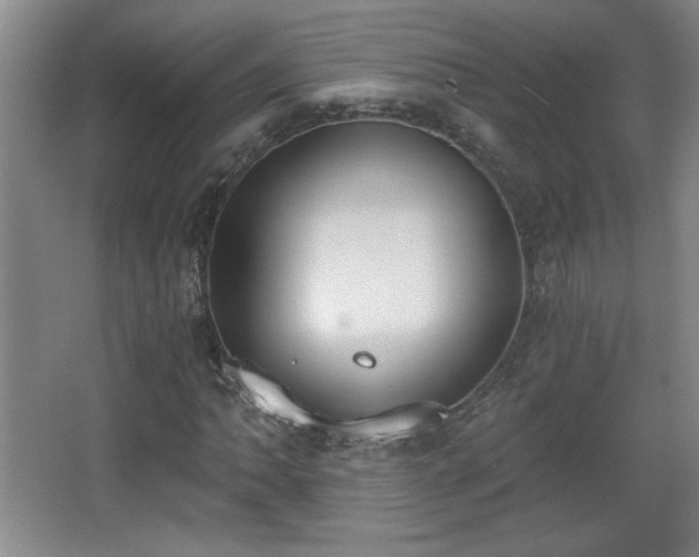 X0000068261062200604241226