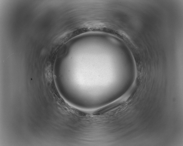 X0000068261063200604241226