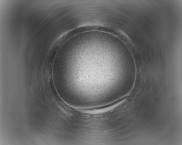 X0000068261064200604241226