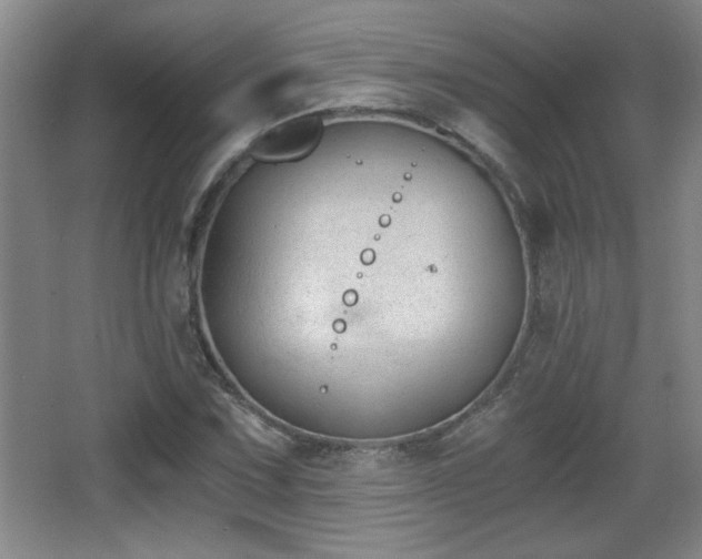 X0000068261067200604241226